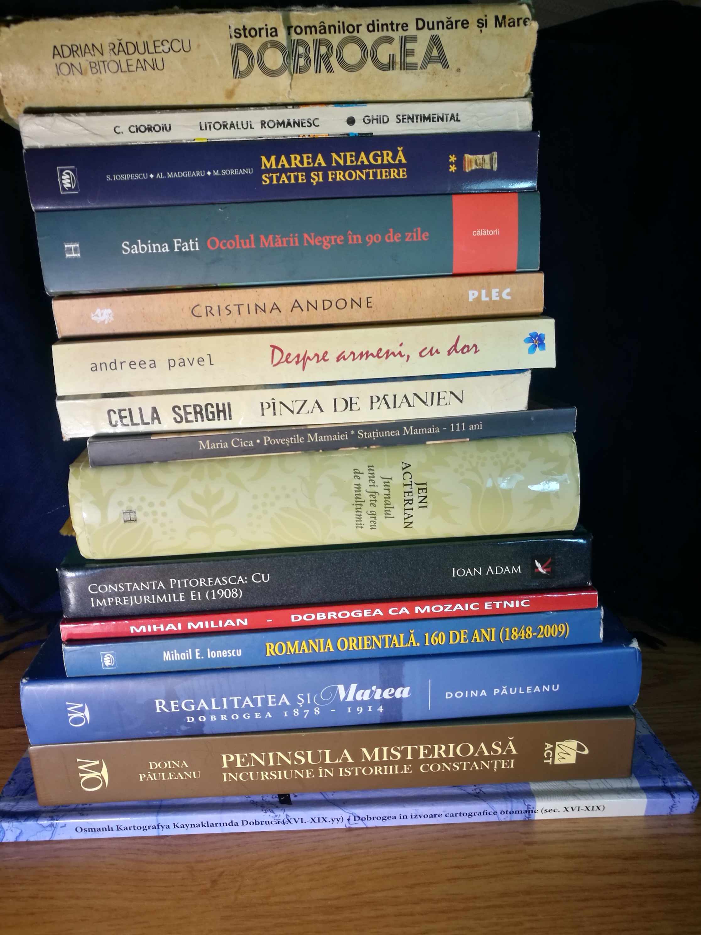 Marea Neagra si artele